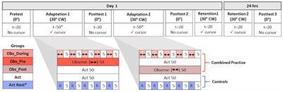 Combining Observation and Physical Practice: Benefits of an Interleaved Schedule for Visuomotor Adaptation and Motor Memory Consolidation